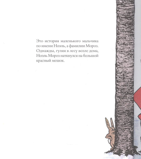 Кад порастем, бићу Деда Мраз