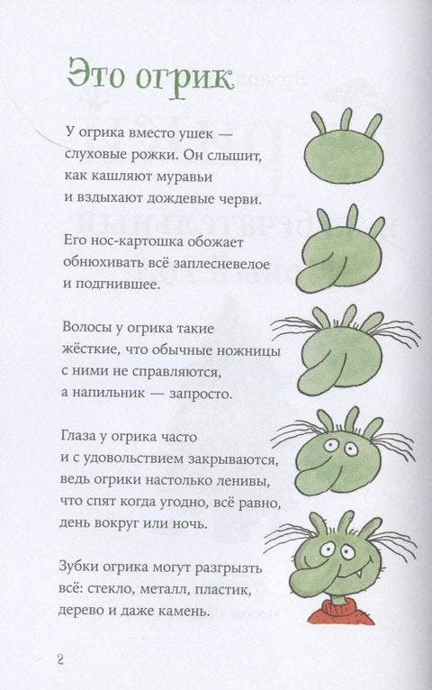 Огрики и жабечательный Новый год