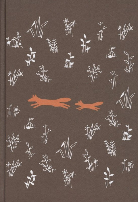 Пакс. Пут кући