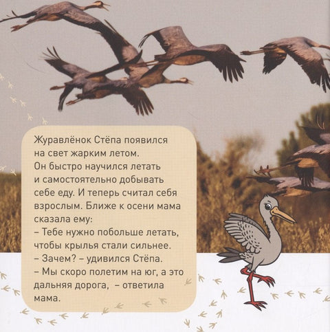 Кто как зимует?