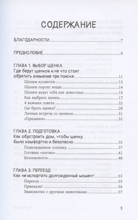 Мы погавкали! Как выбрать и воспитать щенка