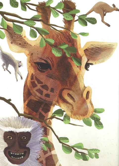 Они такие разные!