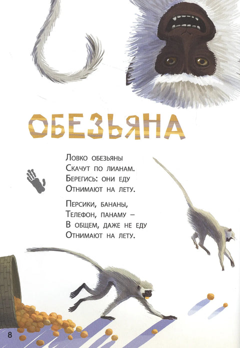 Они такие разные!