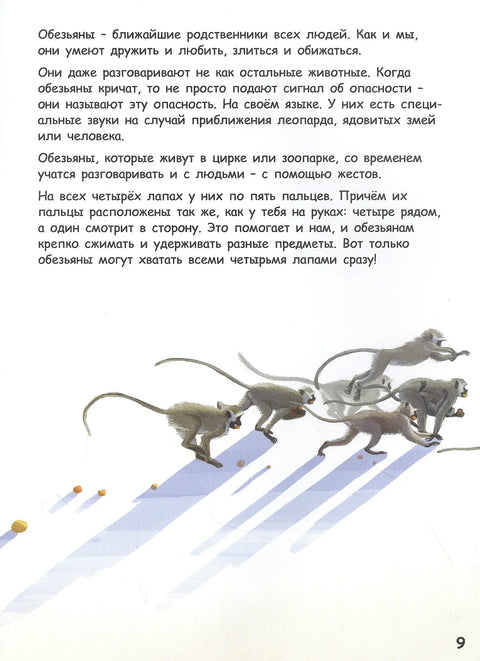 Они такие разные!