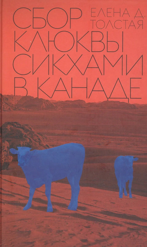 Сики беру бруснице у Канади