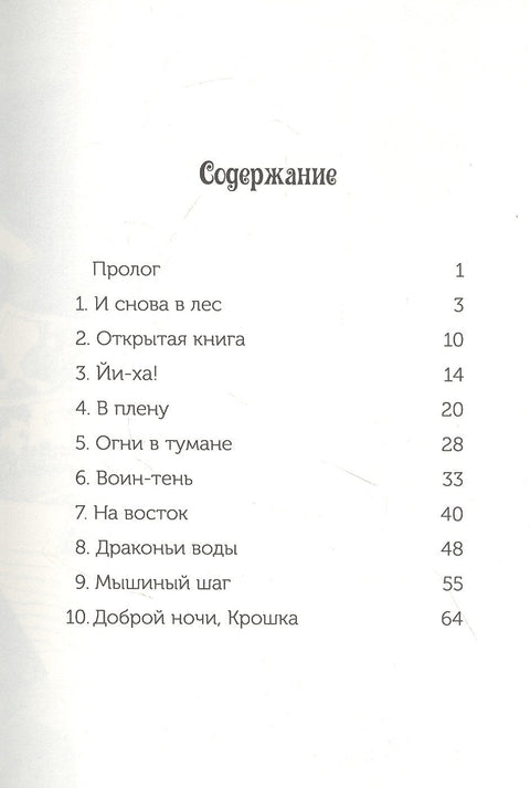 Нинџа у ноћи (Магична кућица на дрвету - 5)