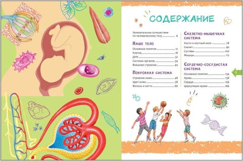 Човек. Нова дечја енциклопедија