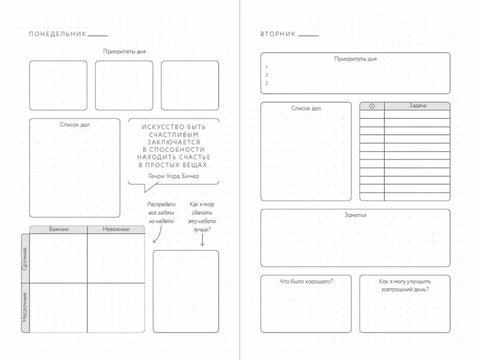 Visual planner: Цели. Мечты. Достижения. Ежедневник (ежевика)