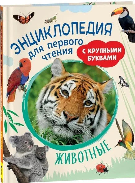 Животиње. Енциклопедија за прво читање са великим словима