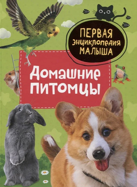 Домашние питомцы