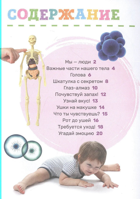 Тело человека
