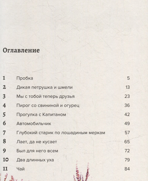 Клер и њен капетан