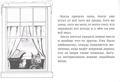 Ангус је изгубљен
