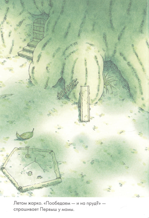 14 шумских мишева. Рибњак са вилиним коњицима