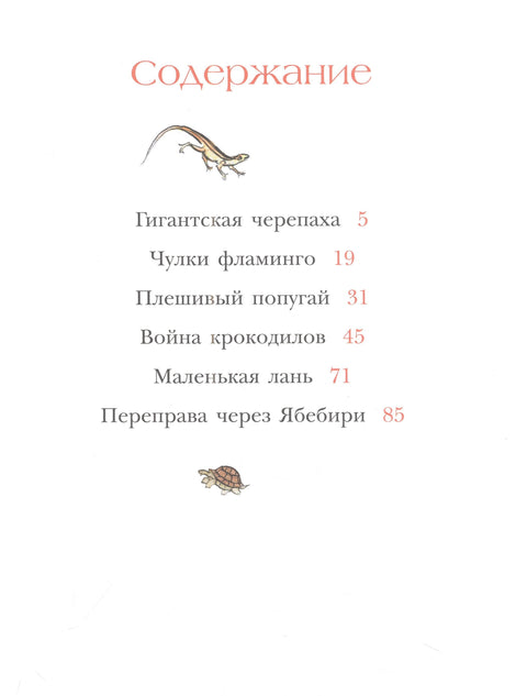 На обалама Јабебира