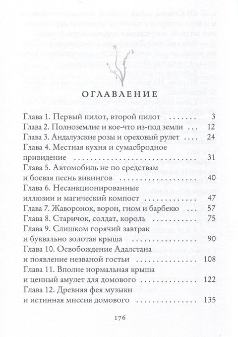 Самолет до Луны и почти нормальная жизнь