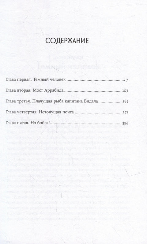 Радин: роман