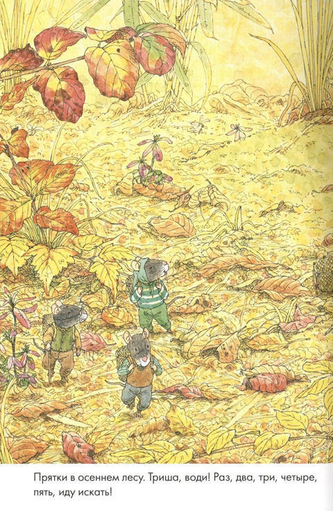 14 шумских мишева. Парада печурака