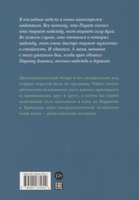 Мой друг пират