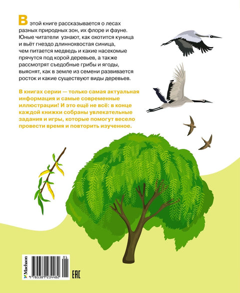 Жизнь леса
