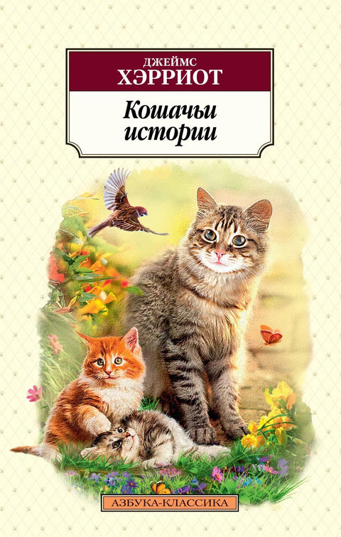 Приче о мачкама