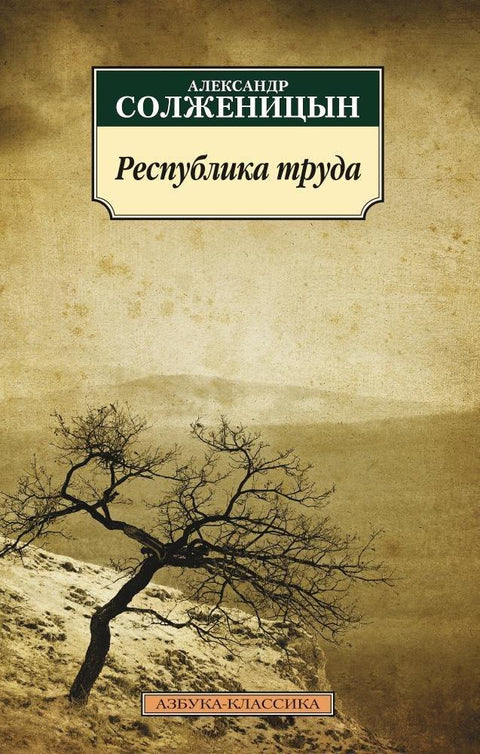 Република рада