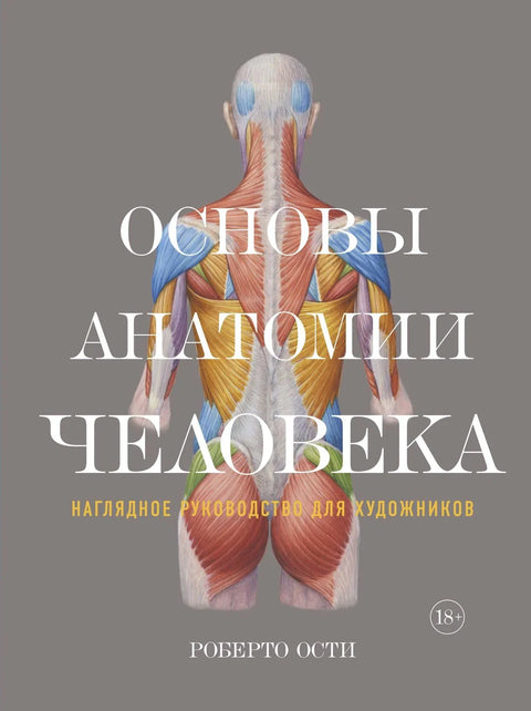 Основи људске анатомије: Визуелни водич за уметнике