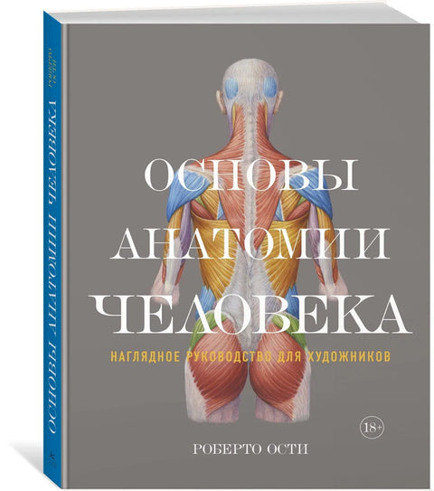 Основи људске анатомије: Визуелни водич за уметнике
