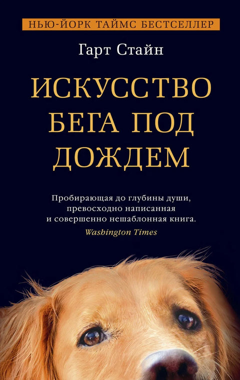 Уметност трчања по киши