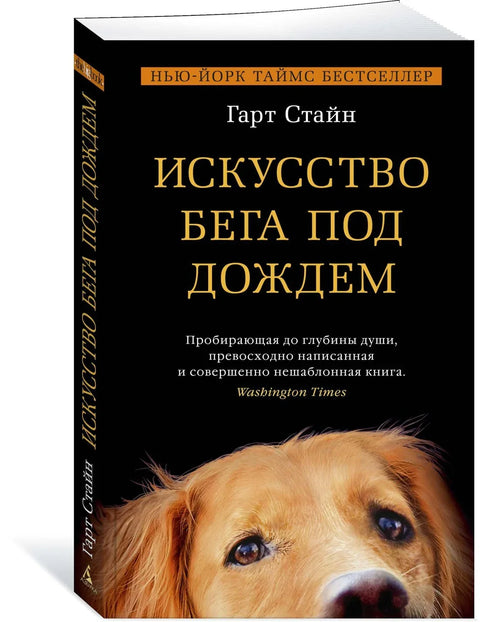 Уметност трчања по киши