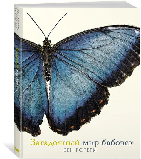 Мистериозни свет лептира