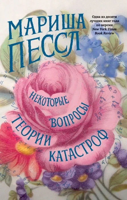 Нека питања теорије катастрофа