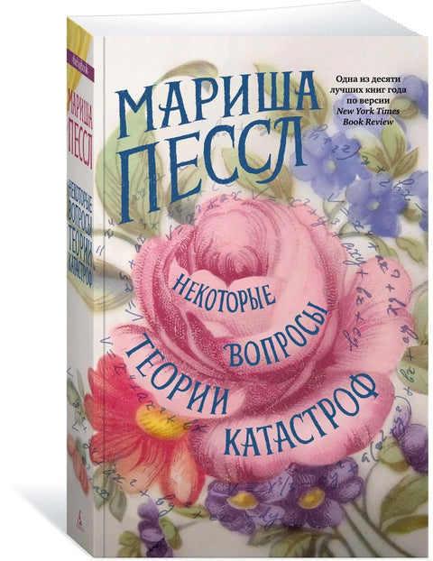 Нека питања теорије катастрофа