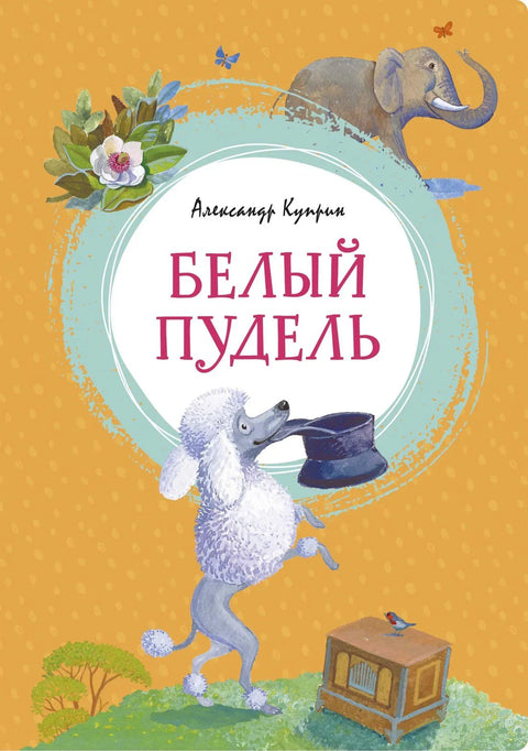 Белый пудель