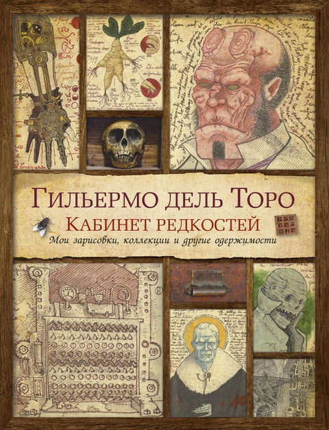 Кабинет куриозитета. Моје скице, колекције и друге опсесије