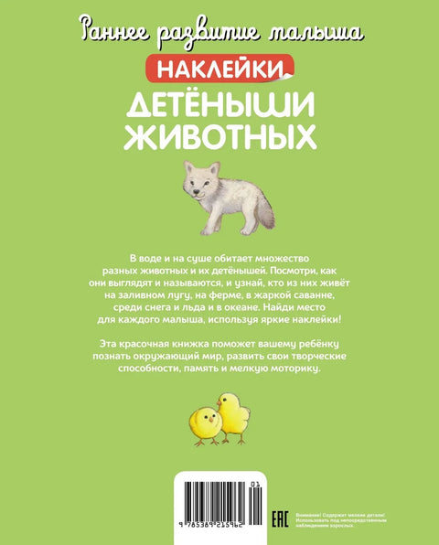 Детёныши животных