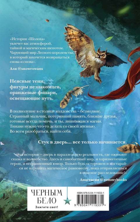 Шолох. Бљесак сенке
