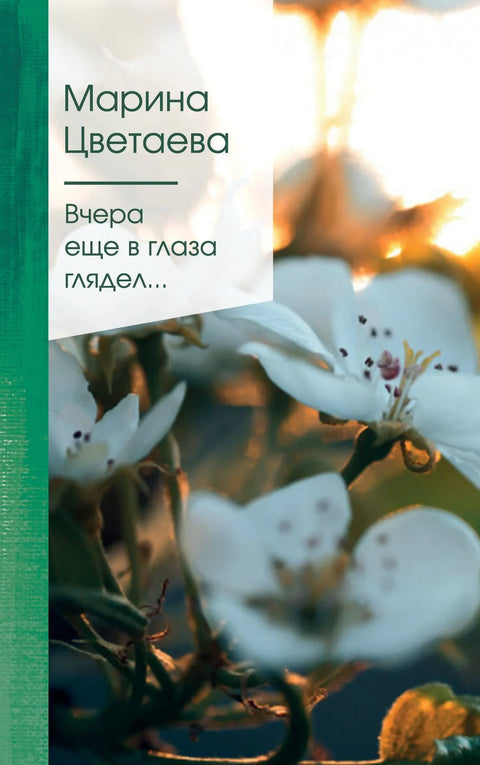 Јуче сам те погледао у очи...