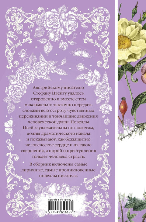 Писмо од странца