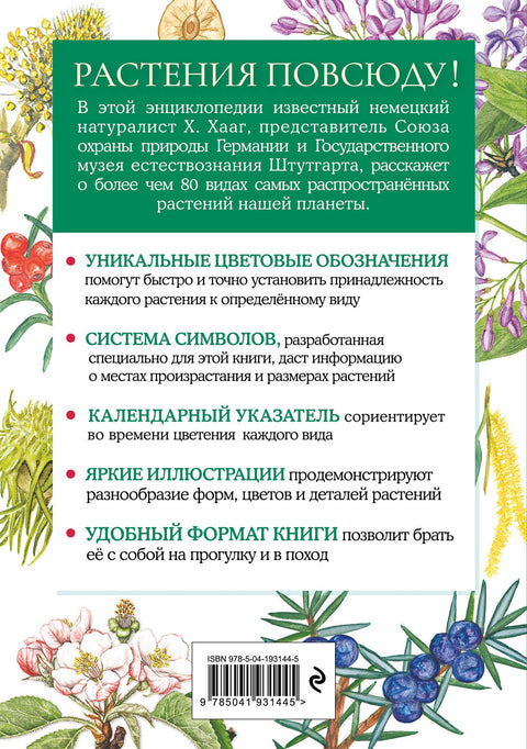 Растения. Краткий иллюстрированный справочник