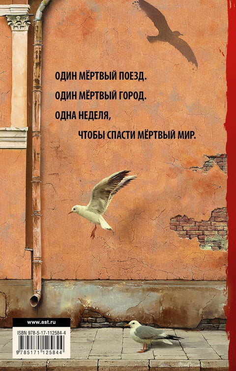 Кенозоик