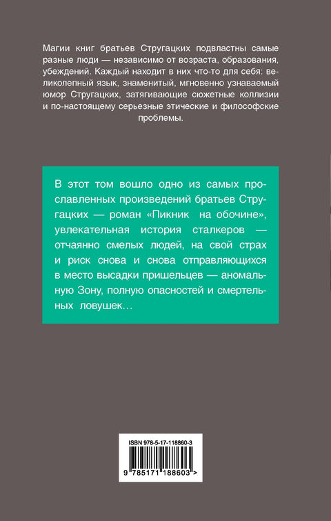 Пикник поред пута