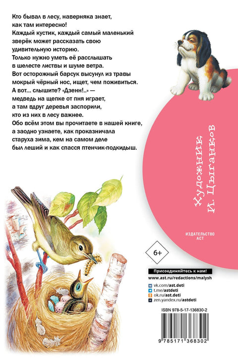 Шумске приче