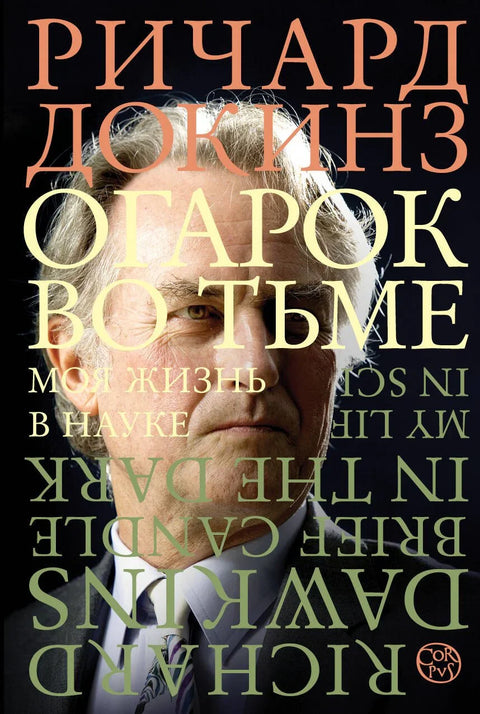 Пањ у мраку