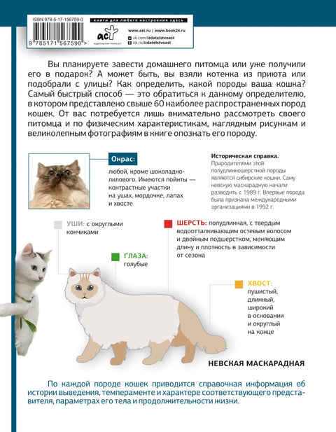 Определитель кошек. Физические характеристики и особенности породы