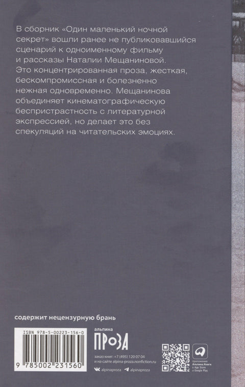 Тајна једне мале ноћи