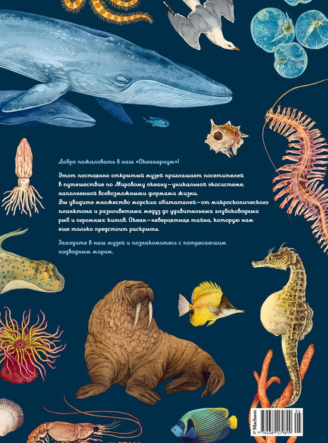 Океанаријум