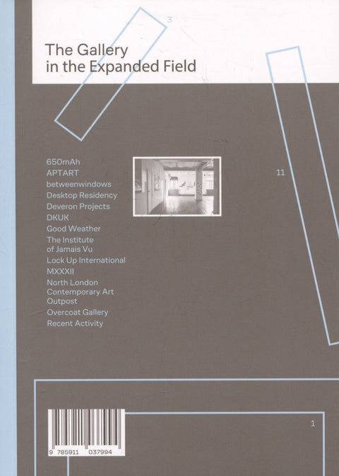 Галерея в расширенном поле / The Gallery in the Expanded Field