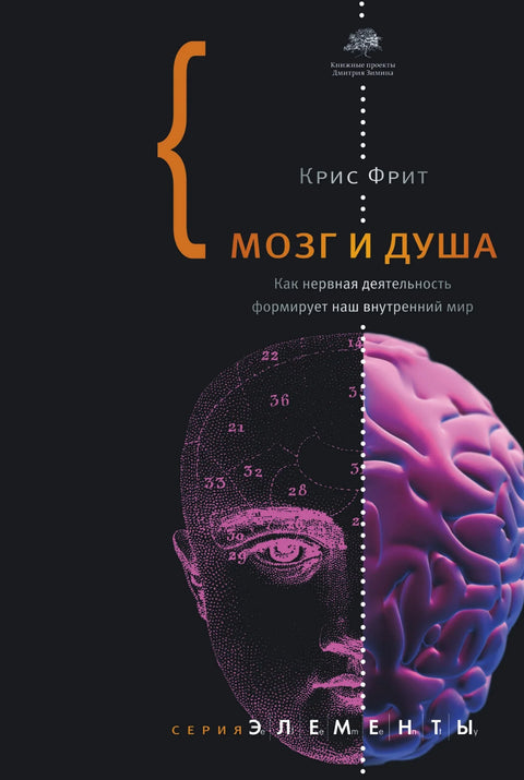 Мозак и душа: Како нервна активност обликује наш унутрашњи свет