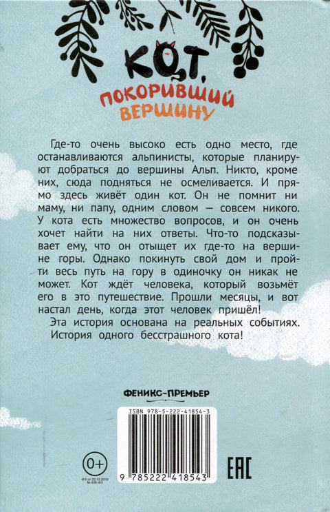 Кот, покоривший вершину